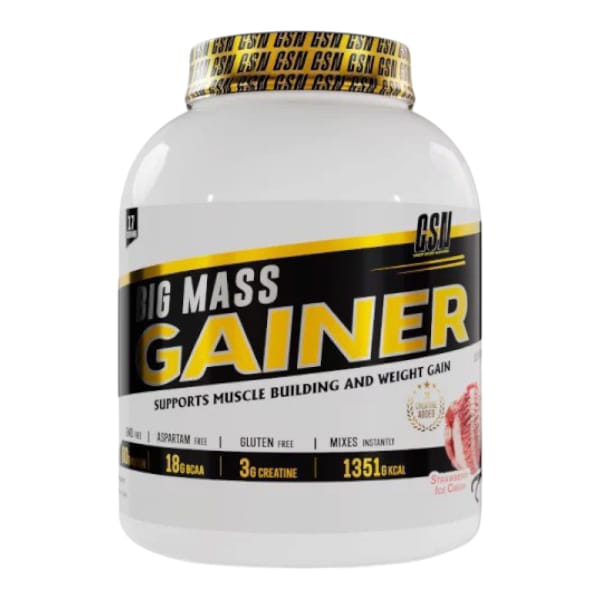 Big mass Gainer 3KG GSN