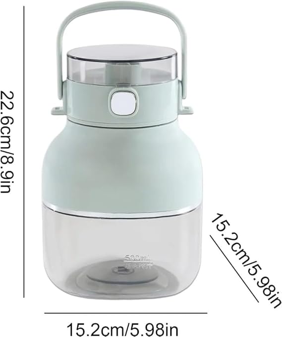 Bouteille de presse-agrumes Portable ASTE CUP – Image 2